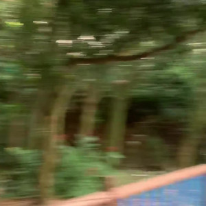 Video by michelleerabbit published on May 13,2023 16:36:00 - BestThots