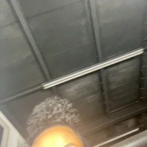 therealtylercamile #3710786