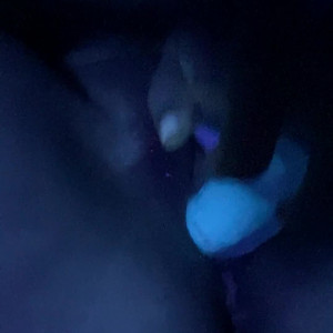 Video by veggiebabyy published on October 25,2023 22:15:57 - BestThots