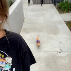 Video by queenjenmarie published on May 8,2023 22:59:00 - BestThots