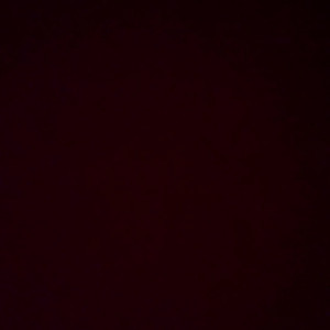 no_jury #4099933