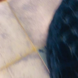 Video by problemwiththesun published on October 16,2023 08:09:16 - BestThots
