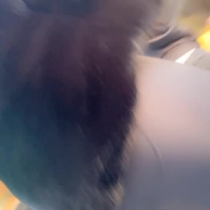 Video by stellarloving published on April 5,2023 15:50:00 - BestThots