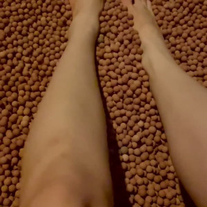 Video by missmaroe published on August 16,2023 15:42:38 - BestThots