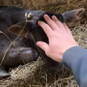 Video by draconblue published on June 30,2023 05:13:00 - BestThots