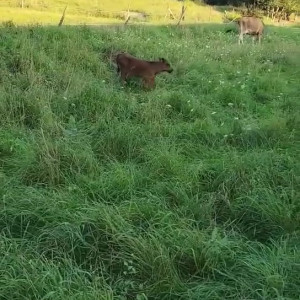 Video by draconblue published on July 15,2023 10:28:00 - BestThots