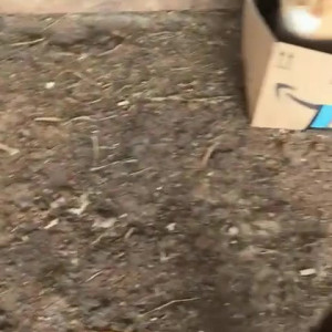 Video by draconblue published on April 9,2023 11:58:00 - BestThots