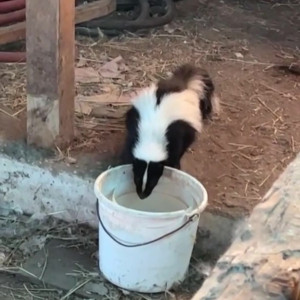 Video by draconblue published on June 3,2023 14:46:00 - BestThots