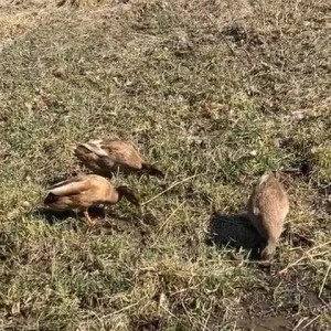 Video by draconblue published on June 25,2023 00:15:00 - BestThots