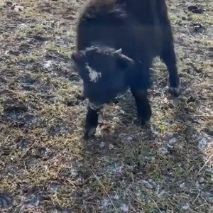 Video by draconblue published on June 27,2023 21:04:00 - BestThots