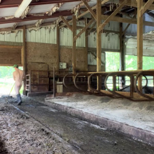 Video by draconblue published on August 13,2023 17:44:00 - BestThots