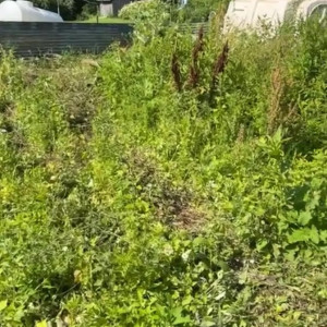 Video by draconblue published on July 10,2023 12:47:00 - BestThots