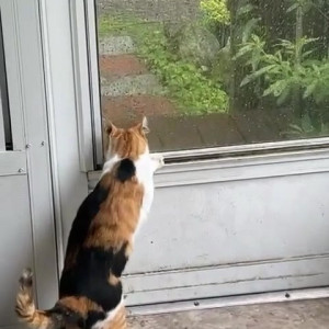 Video by draconblue published on May 5,2023 19:57:00 - BestThots
