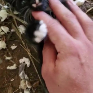 Video by draconblue published on June 24,2023 13:01:00 - BestThots