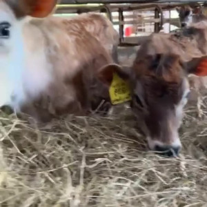 Video by draconblue published on August 14,2023 16:35:00 - BestThots