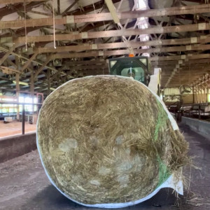 Video by draconblue published on July 17,2023 23:07:00 - BestThots