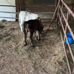 Video by draconblue published on July 13,2023 16:17:00 - BestThots