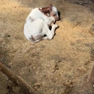 Video by draconblue published on August 3,2023 18:03:00 - BestThots