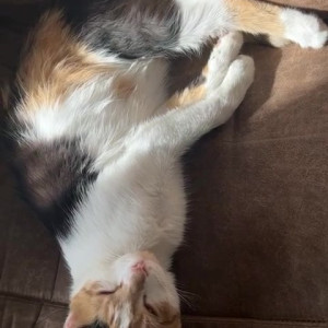 Video by draconblue published on July 18,2023 01:27:00 - BestThots