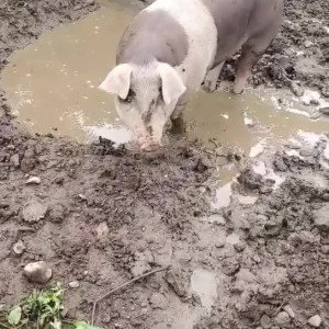 Video by draconblue published on July 19,2023 16:00:00 - BestThots