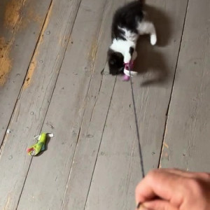 Video by draconblue published on March 3,2023 02:36:00 - BestThots