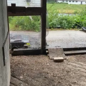 Video by draconblue published on July 9,2023 20:57:00 - BestThots