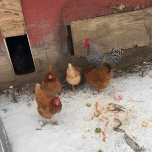 Video by draconblue published on August 13,2023 07:20:00 - BestThots