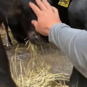 Video by draconblue published on August 6,2023 23:26:00 - BestThots