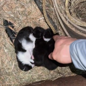 Video by draconblue published on August 9,2023 01:53:00 - BestThots