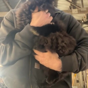 Video by draconblue published on March 14,2023 11:21:00 - BestThots
