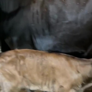 Video by draconblue published on March 14,2023 17:01:00 - BestThots
