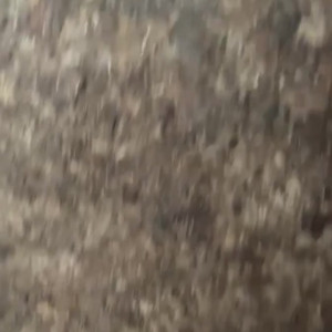 Video by draconblue published on August 15,2023 00:30:00 - BestThots