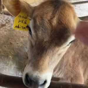 Video by draconblue published on June 26,2023 21:01:00 - BestThots