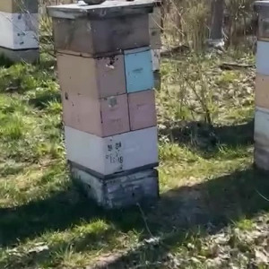 Video by draconblue published on June 18,2023 20:04:00 - BestThots