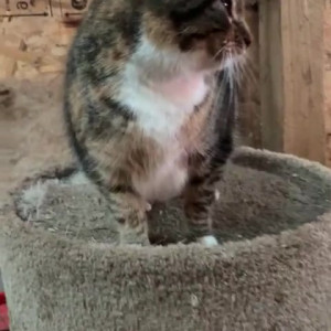 Video by draconblue published on July 18,2023 23:56:00 - BestThots