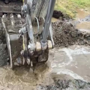 Video by draconblue published on July 29,2023 15:14:00 - BestThots