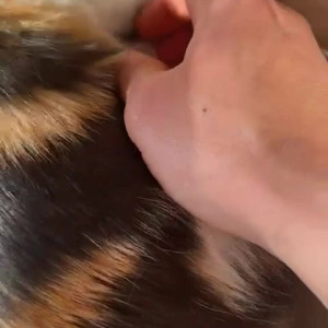 Video by draconblue published on July 10,2023 09:39:00 - BestThots