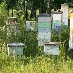 Video by draconblue published on June 17,2023 07:43:00 - BestThots