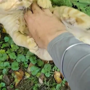 Video by draconblue published on July 20,2023 11:06:00 - BestThots