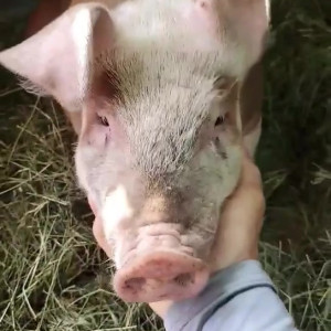 Video by draconblue published on July 25,2023 17:38:00 - BestThots