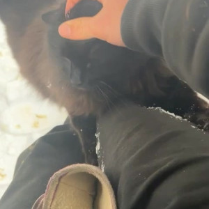 Video by draconblue published on June 14,2023 22:06:00 - BestThots