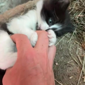 Video by draconblue published on April 10,2023 11:58:00 - BestThots