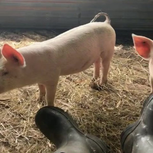 Video by draconblue published on July 17,2023 15:26:00 - BestThots