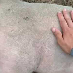 Video by draconblue published on July 15,2023 19:49:00 - BestThots