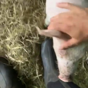 Video by draconblue published on June 19,2023 19:01:00 - BestThots