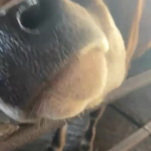 Video by draconblue published on August 13,2023 09:05:00 - BestThots