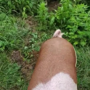 Video by draconblue published on June 24,2023 17:37:00 - BestThots