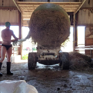 Video by draconblue published on July 31,2023 08:36:00 - BestThots