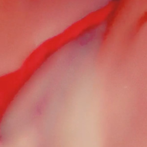 Video by sexylesbiancouple98 published on March 12,2023 02:28:00 - BestThots