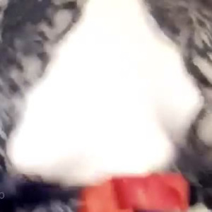 Video by sexylesbiancouple98 published on July 18,2023 02:25:00 - BestThots